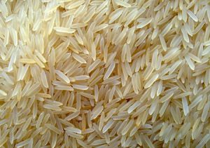 برنج خام خارجی